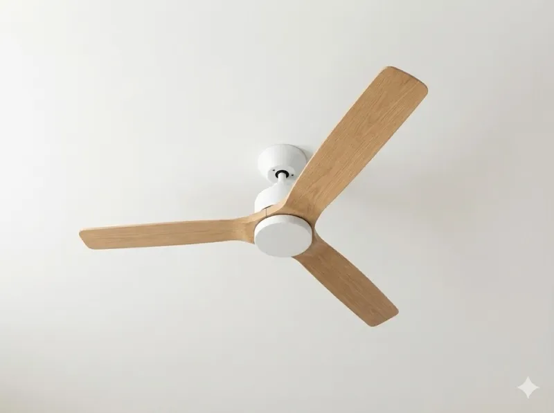 Ceiling Fan