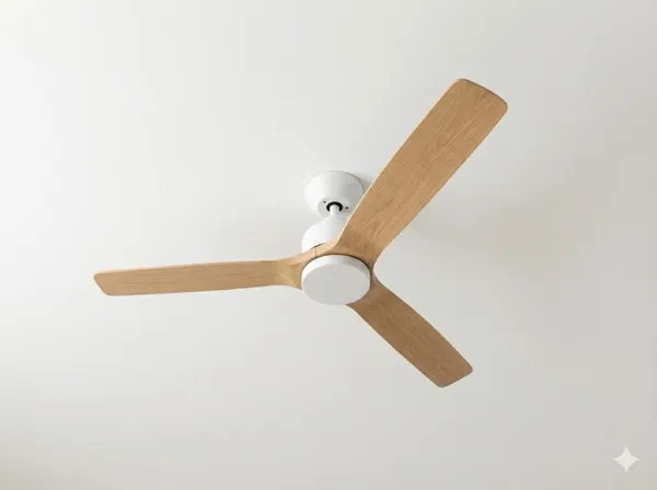 Ceiling Fan