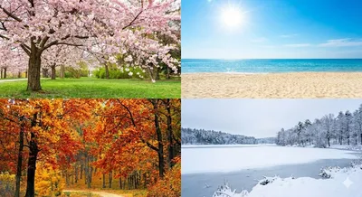 Weather & Seasons